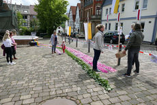 Bluemteppich auf dem Naumburegr Marktplatz (Foto: Karl-Franz Thiede)